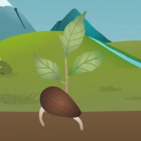 TREE Mobile